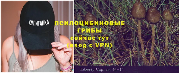 амф Магас