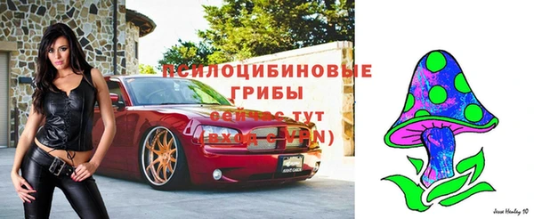 прущие крисы Абаза